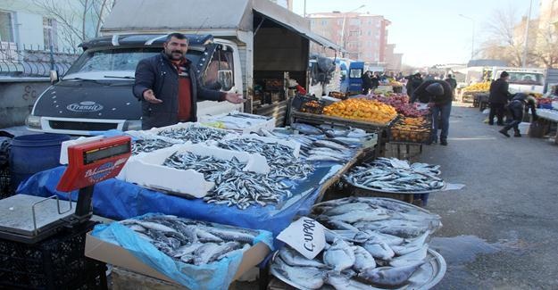 Doğu'da göller, dereler buz tuttu