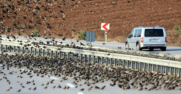 binlercesi kara yolunu kapattı