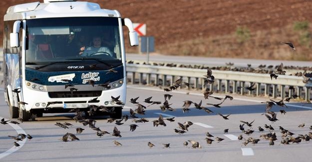 binlercesi kara yolunu kapattı