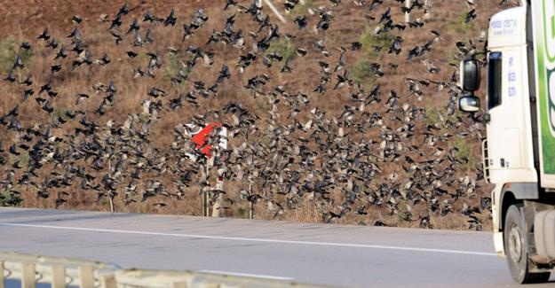 binlercesi kara yolunu kapattı