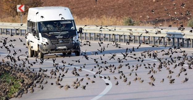 binlercesi kara yolunu kapattı