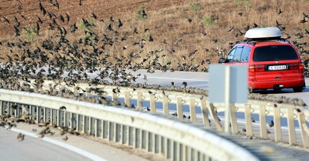 binlercesi kara yolunu kapattı