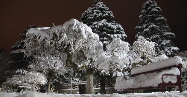 Elazığ’da kar yağışı