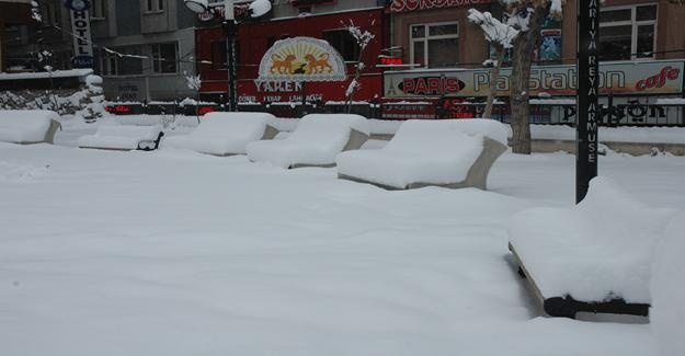 Van’da kar hayatı durma noktasına getirdi