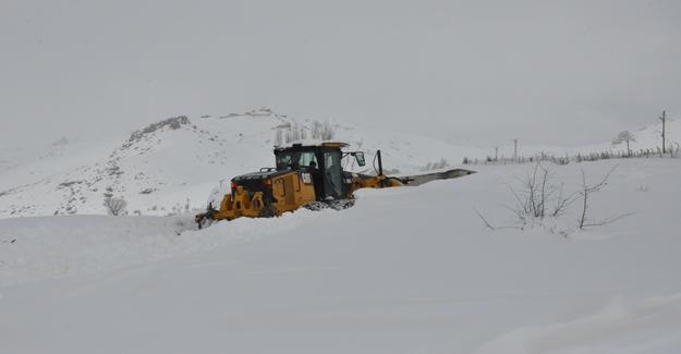 Van’da kar hayatı durma noktasına getirdi