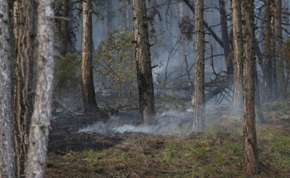 Orhaneli Orman Yangını