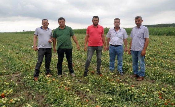 Bursa'daki Dolu Yağışı