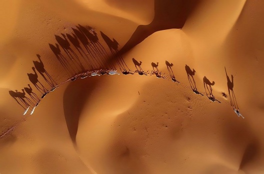 2018 Siena Uluslararası Fotoğraf Yarışması