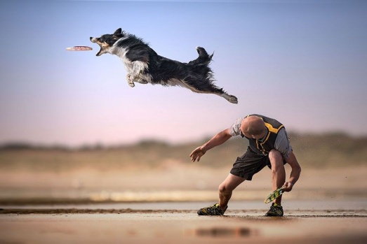 2018 Siena Uluslararası Fotoğraf Yarışması