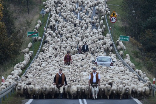 2018 Siena Uluslararası Fotoğraf Yarışması