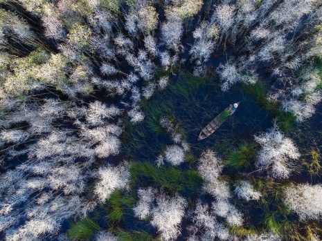 2018 Siena Uluslararası Fotoğraf Yarışması