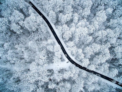 2018 Siena Uluslararası Fotoğraf Yarışması