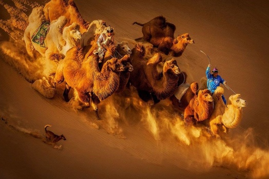 2018 Siena Uluslararası Fotoğraf Yarışması