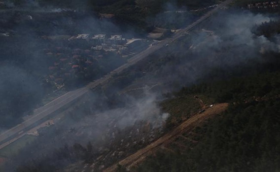 Bursa Çağrışan'daki Orman Yangını