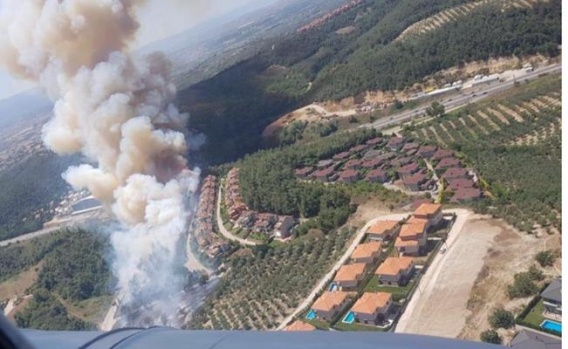 Bursa Çağrışan'daki Orman Yangını