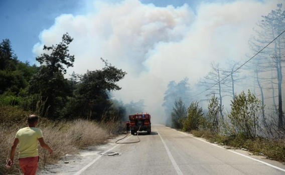 Bursa Çağrışan'daki Orman Yangını