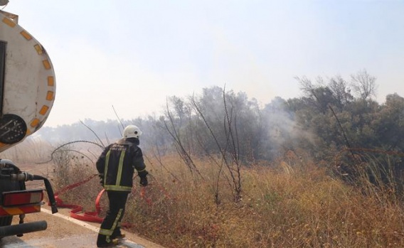 Bursa Çağrışan'daki Orman Yangını