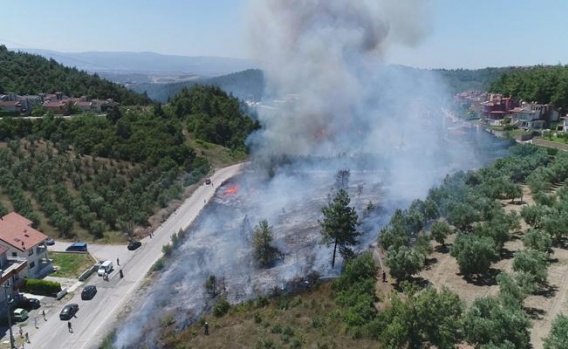 Bursa Çağrışan'daki Orman Yangını