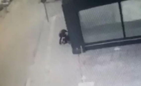 Sözleşmeli er kadın polisi bıçakladı