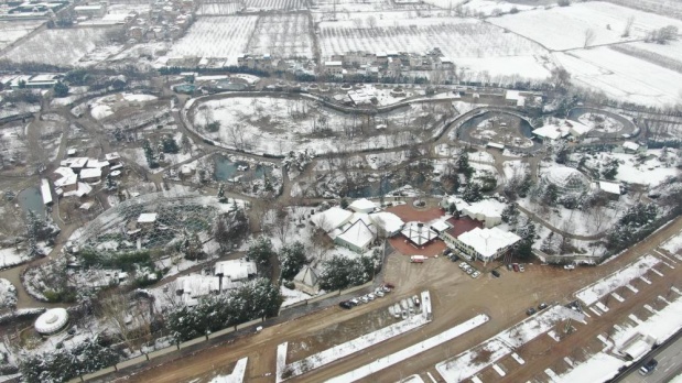 Bursa Hayvanat Bahçesi'ndeki Hayvanlar