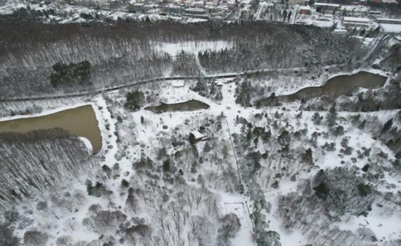 Atatürk Arboretumu