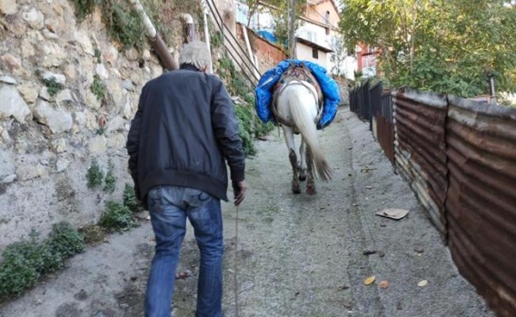 Bursa'da O Mahallelere Atıyla Yük Taşıyor