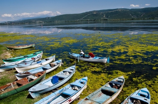 Gölyazı Gölü