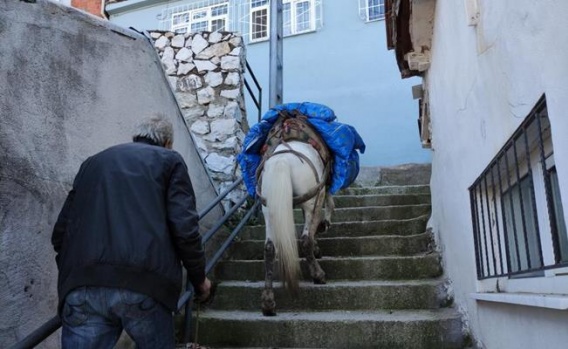 Bursa'da O Mahallelere Atıyla Yük Taşıyor