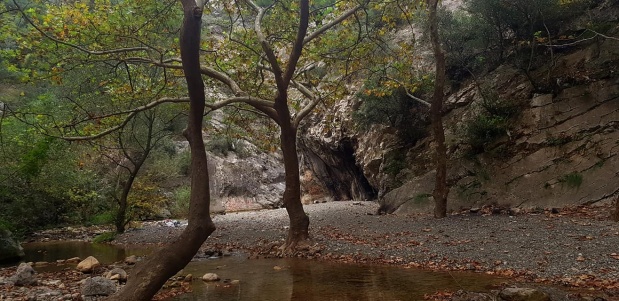 Narlıdere Köyü