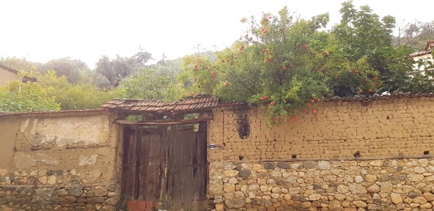 Narlıdere Köyü