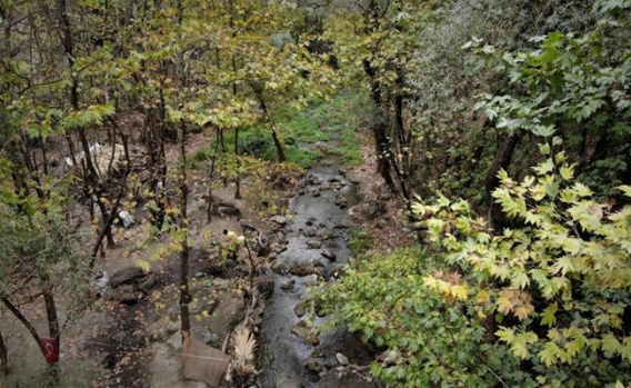 Bursa Uludağ'da Altın Arıyorlar