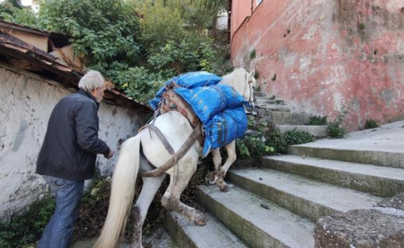 Bursa'da O Mahallelere Atıyla Yük Taşıyor