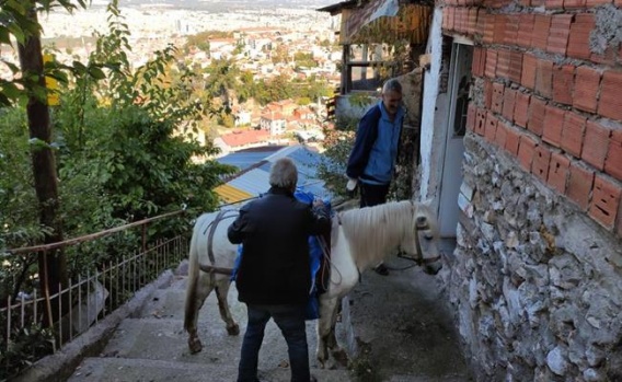 Bursa'da O Mahallelere Atıyla Yük Taşıyor