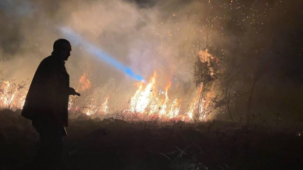 Bursa'da İznik Gölü Kıyısında Yangın Çıktı