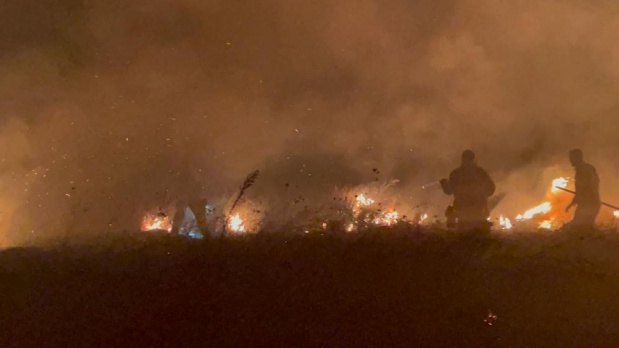 Bursa'da İznik Gölü Kıyısında Yangın Çıktı