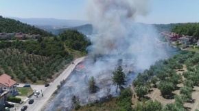 Bursa Çağrışan'daki Orman Yangını