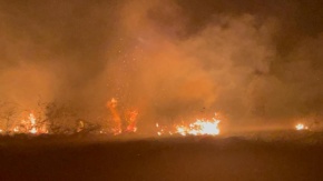 Bursa'da İznik Gölü Kıyısında Yangın Çıktı