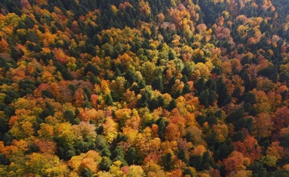 Uludağ'ın Sonbahar Güzelliği Büyülüyor