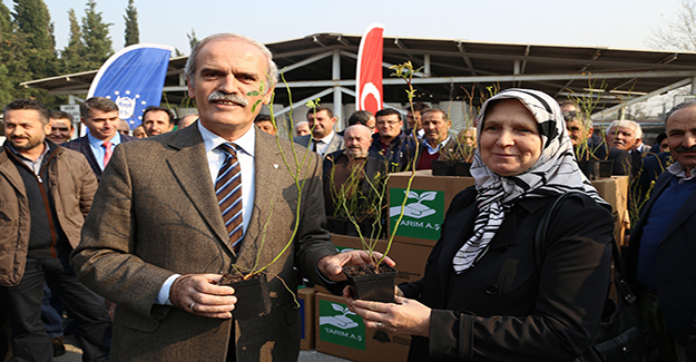 Bursa’da ‘yaban mersini’ dönemi