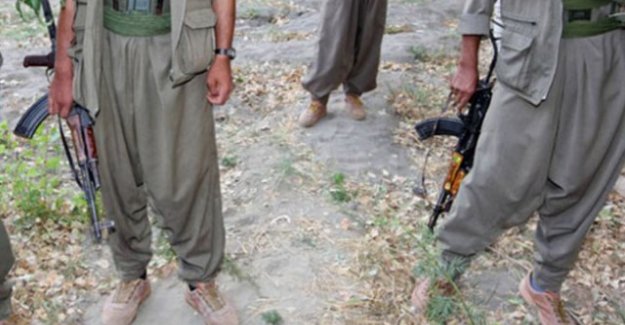 Cudi Dağı’nda düzenlenen operasyonda toplam 4 terörist etkisiz hale getirildi