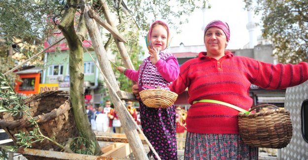 Zeytin festivalinde renkli görüntüler