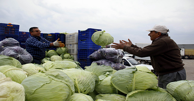 Antalya’da çiftçi Rus pazarının açılmasını bekliyor