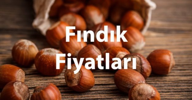 Fındık fiyatları haftaya düşüşle başladı