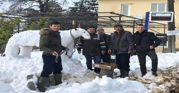 Kardan inek yapıp otla beslediler