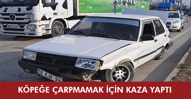 Köpeğe çarpmamak isterken kaza yaptı