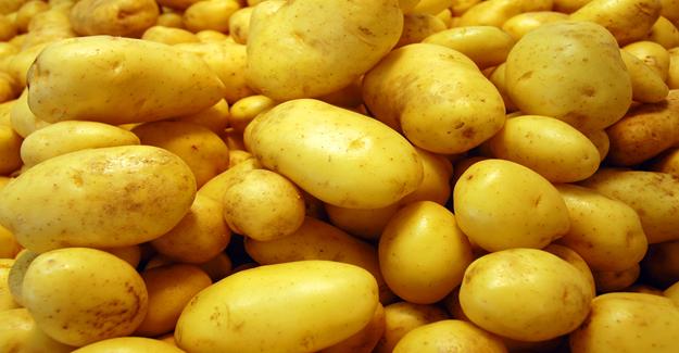 Patateste yüzde elli düşüş var, fiyatlar yükselebilir