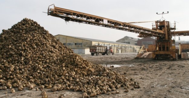 Susurluk Şeker Fabrikası tekrar faaliyete geçiyor