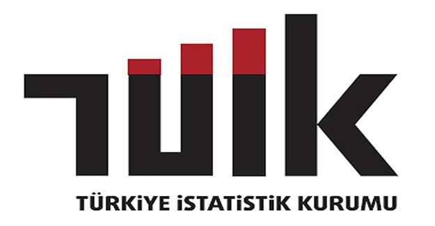 TÜİK Kültür ekonomisi verilerini açıkladı