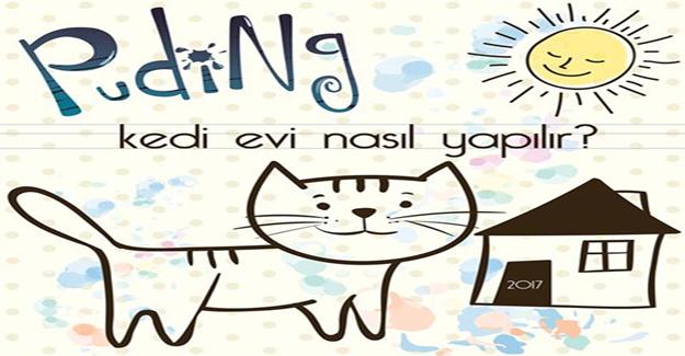 Puding - Kedi Evi Nasıl Yapılır Sosyal Sorumluk Projesi