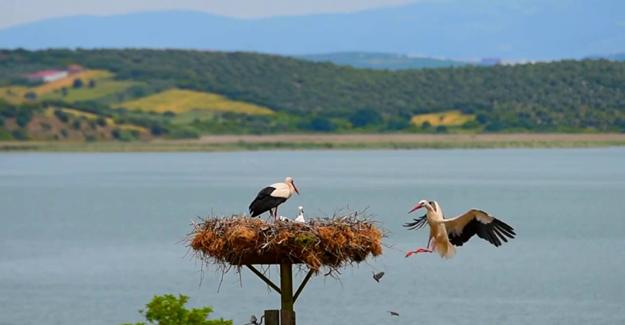 Karacabey’in Eşsiz Doğası Filmlere Mekân Oluyor